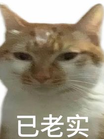 与其内耗，不如发癫