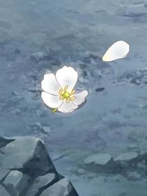 超變戰(zhàn)陀觀影體（全員）