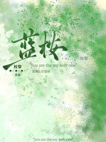 蓝桉……雷安同人