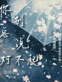 你别总说对不起