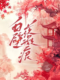 白璧落微痕