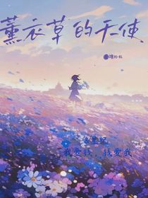 熏衣草的天使