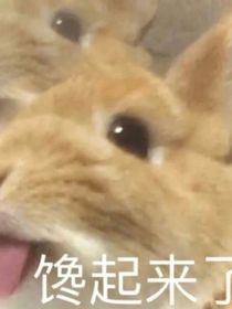 倘若我們未曾相遇