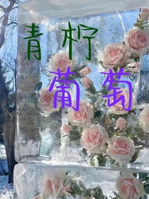 青檸葡萄