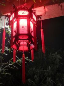 成為男主后宮的那些日子
