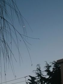 同人什么的随便写写