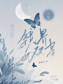 镜界双星
