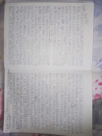 鼠膽渡世