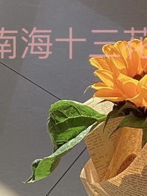 南海十三花