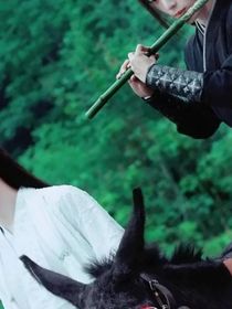 快穿之我在陈情令里磕cp