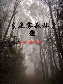 迷雾森林：噩