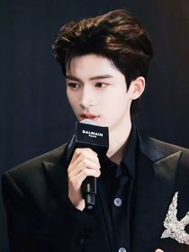 追星女的逆襲