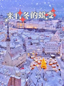 来自冬的蜕变