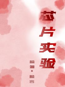 芯片实验