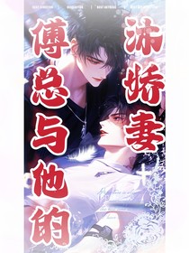 傅總與他的沐嬌妻