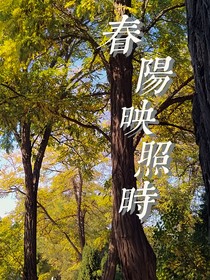 春陽(yáng)映照時(shí)