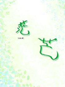 茫芒