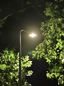 江小帆同學(xué)，你好呀