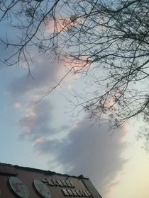 行芷