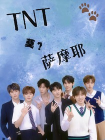 TNT：莫？萨摩耶