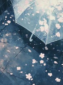 时间的雨