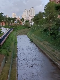 高中生物人教版知识点易错总结