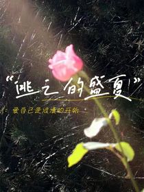 逃之的盛夏