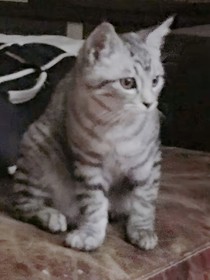 鬼故事书
