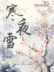 寒夜雪