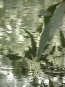 心声悄响，画意难应