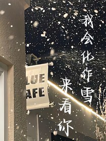我會(huì)化作雪來看你