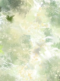 安戀清