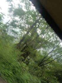 别听世俗的耳语去看自己喜欢的风景