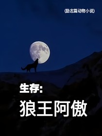 孤狼的生存