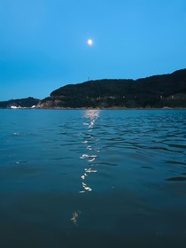 灼燒去年的夏