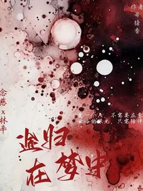 归途在梦中