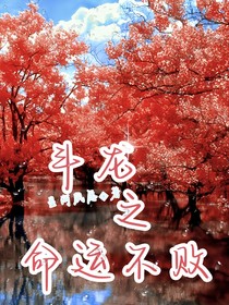 斗龙之命运不败