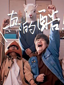 我加入了小潮tEam？