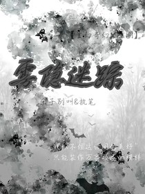 雾隐迷踪