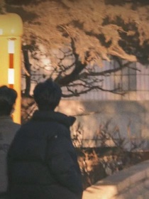 翔霖：陪你度过漫长岁月