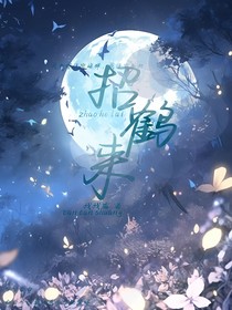 招鹤来