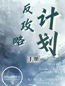 反攻略计划手册