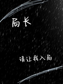 局长，请让我入局