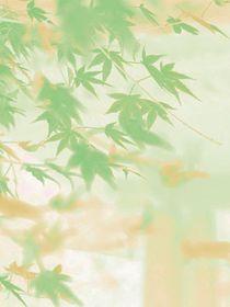 当反派的那些年