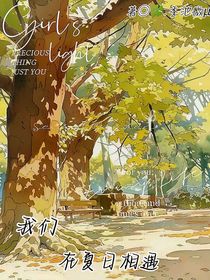 我们在夏日相遇