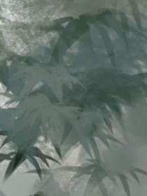 是否般配