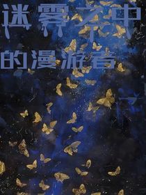 无名迷雾中的漫游者