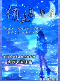 何止是月亮