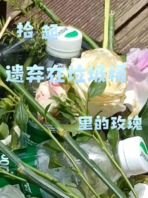 撿起遺棄在垃圾桶里的玫瑰