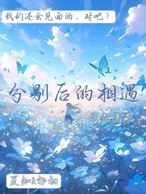 分别后的相遇